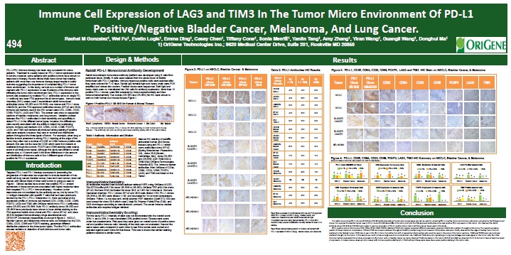 AACR 2019 PD-L1 Poster